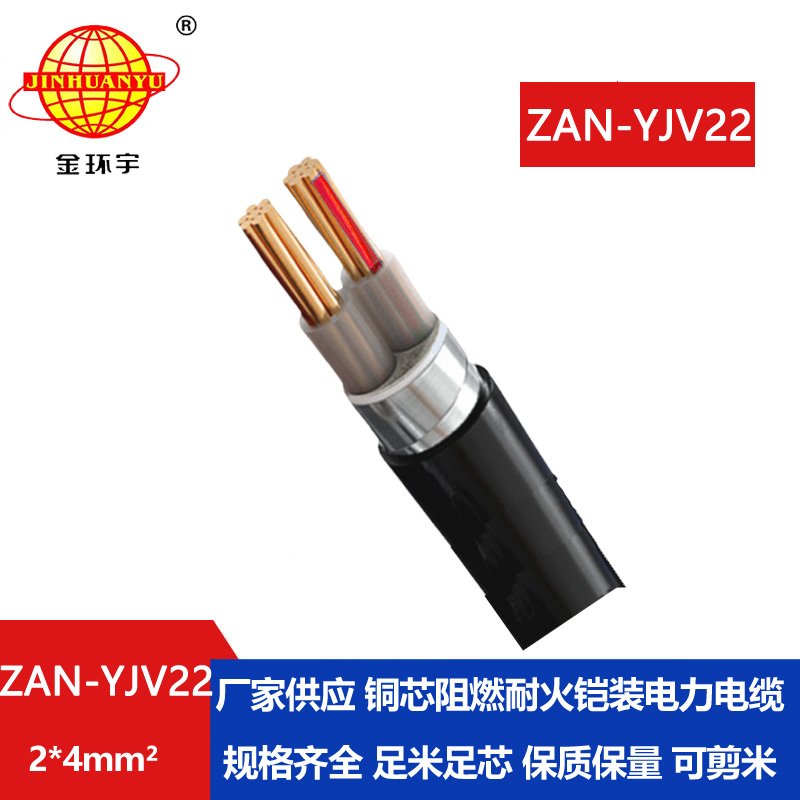 金環(huán)宇電線(xiàn)電纜 阻燃耐火鎧裝電纜ZAN-YJV22-2X4平方