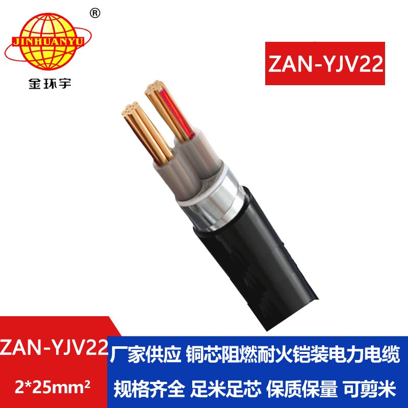 金環(huán)宇電線(xiàn)電纜 ZAN-YJV22-2X25平方y(tǒng)jv22電纜a類(lèi)阻燃